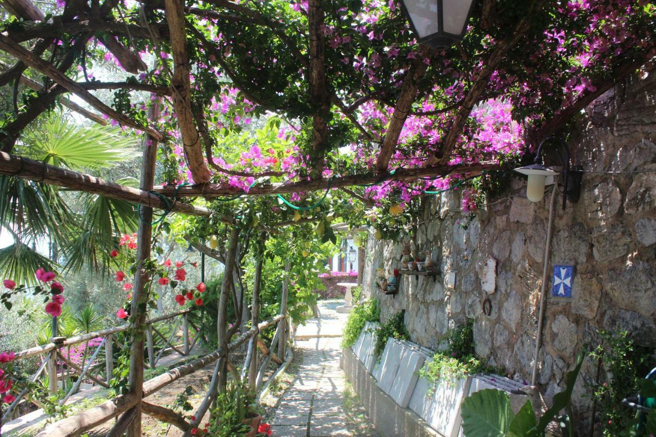 Casa Hermosa Bed & Breakfast 2*