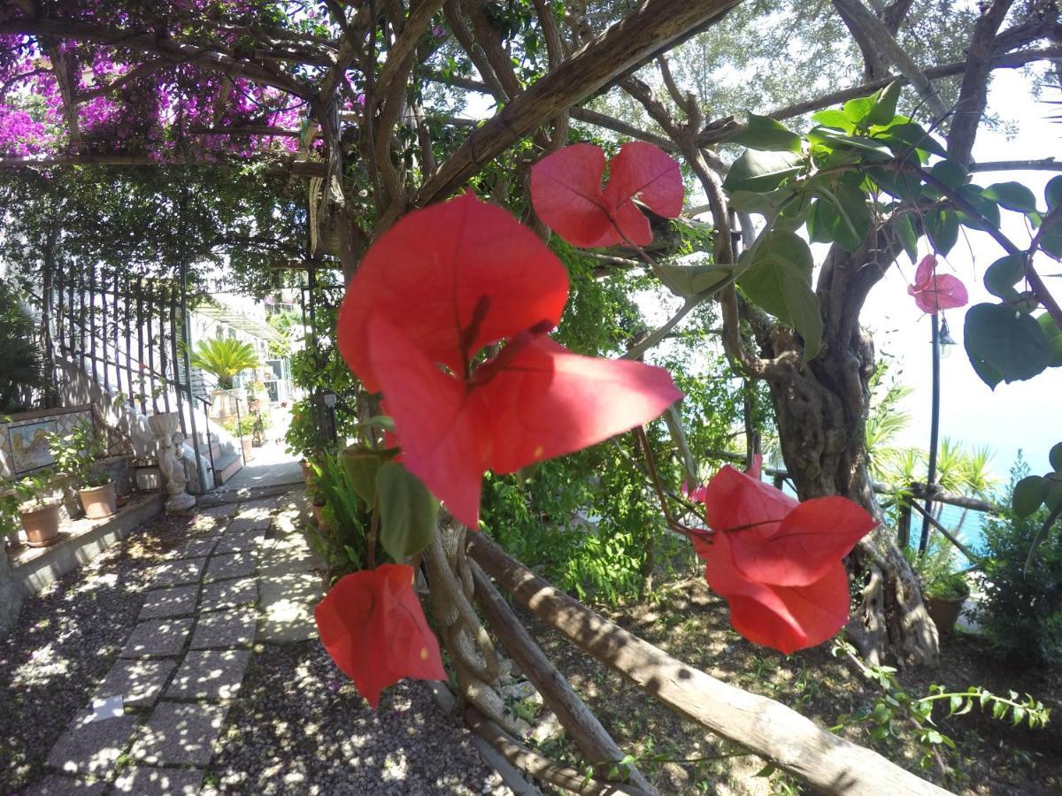 Casa Hermosa Bed & Breakfast Amalfi